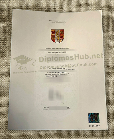 Bangor University degree