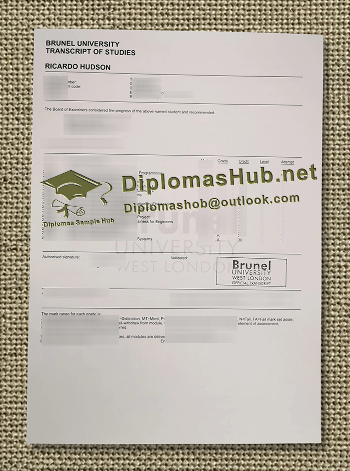Brunel University of London Transcript