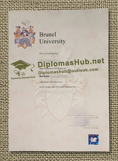 Brunel University of London Degree