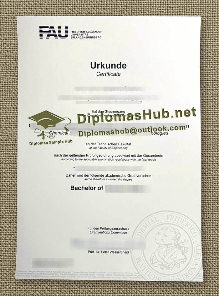 Friedrich-Alexander-Universität Erlangen-Nürnberg Urkunde