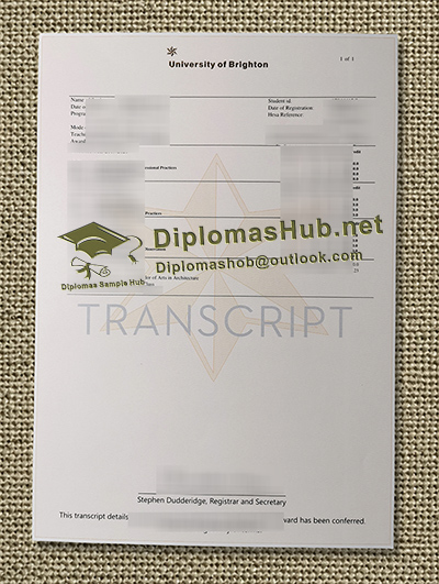 University of Brighton Transcript