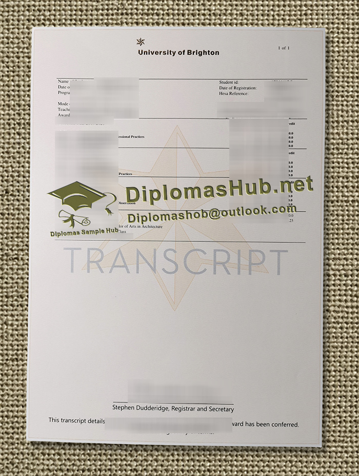 University of Brighton Transcript