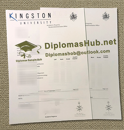 Kingston University Transcript