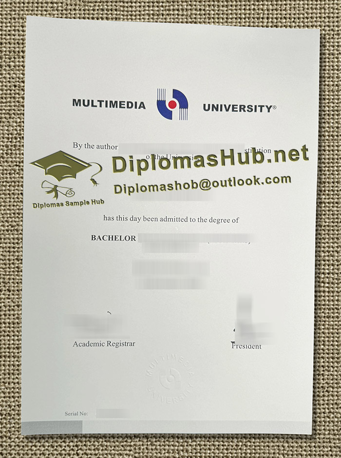 Multimedia University Degree