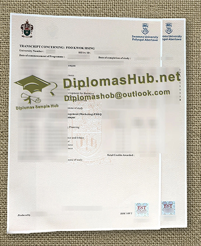 Swansea University Transcript