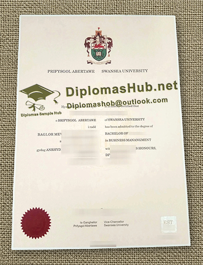 Swansea University Degree