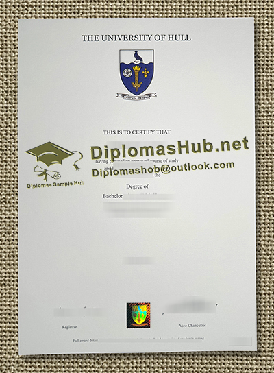 University of Hull Degree
