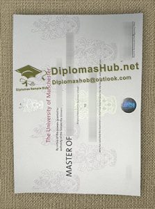University of Manchester Degree