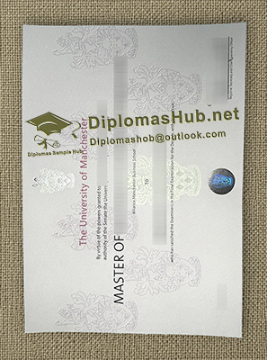 University of Manchester Degree