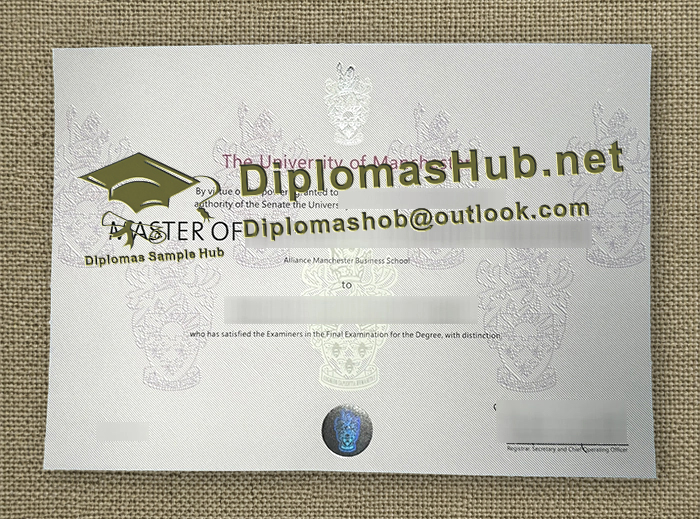 University of Manchester Degree