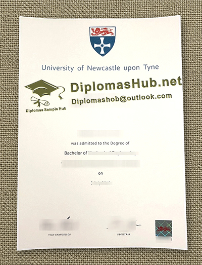 Newcastle University Degree