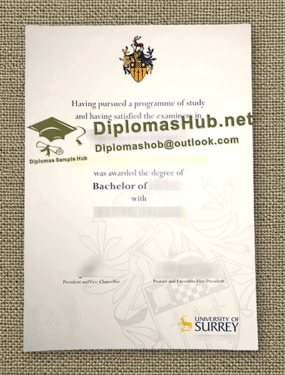 University of Surrey Degree
