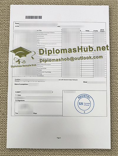 University of Sussex Transcript