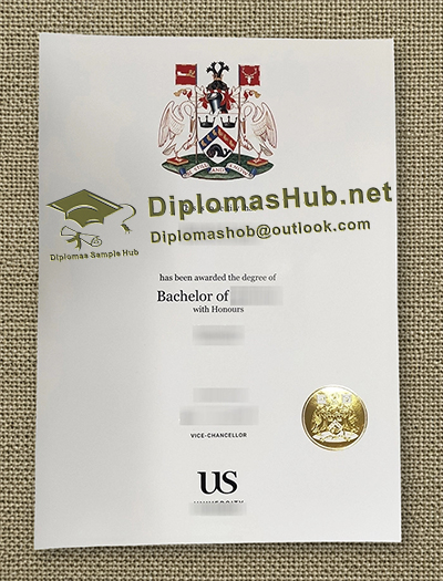 University of Sussex Degree