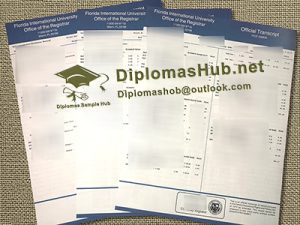 Florida International University Transcript
