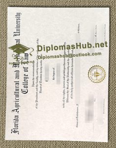 Florida A&M University Diploma