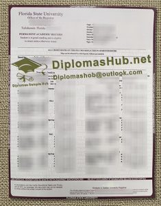 FSU Transcript