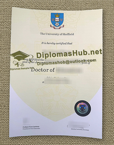 University of Sheffield Degree