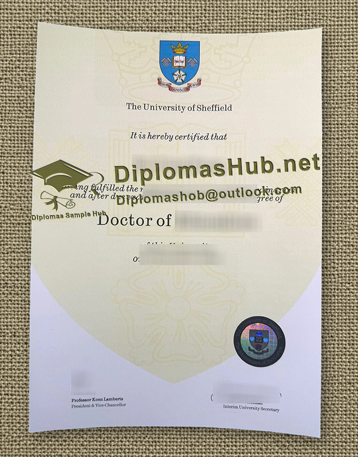 University of Sheffield Degree