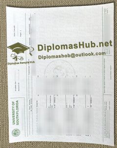 University of South Florida Transcript